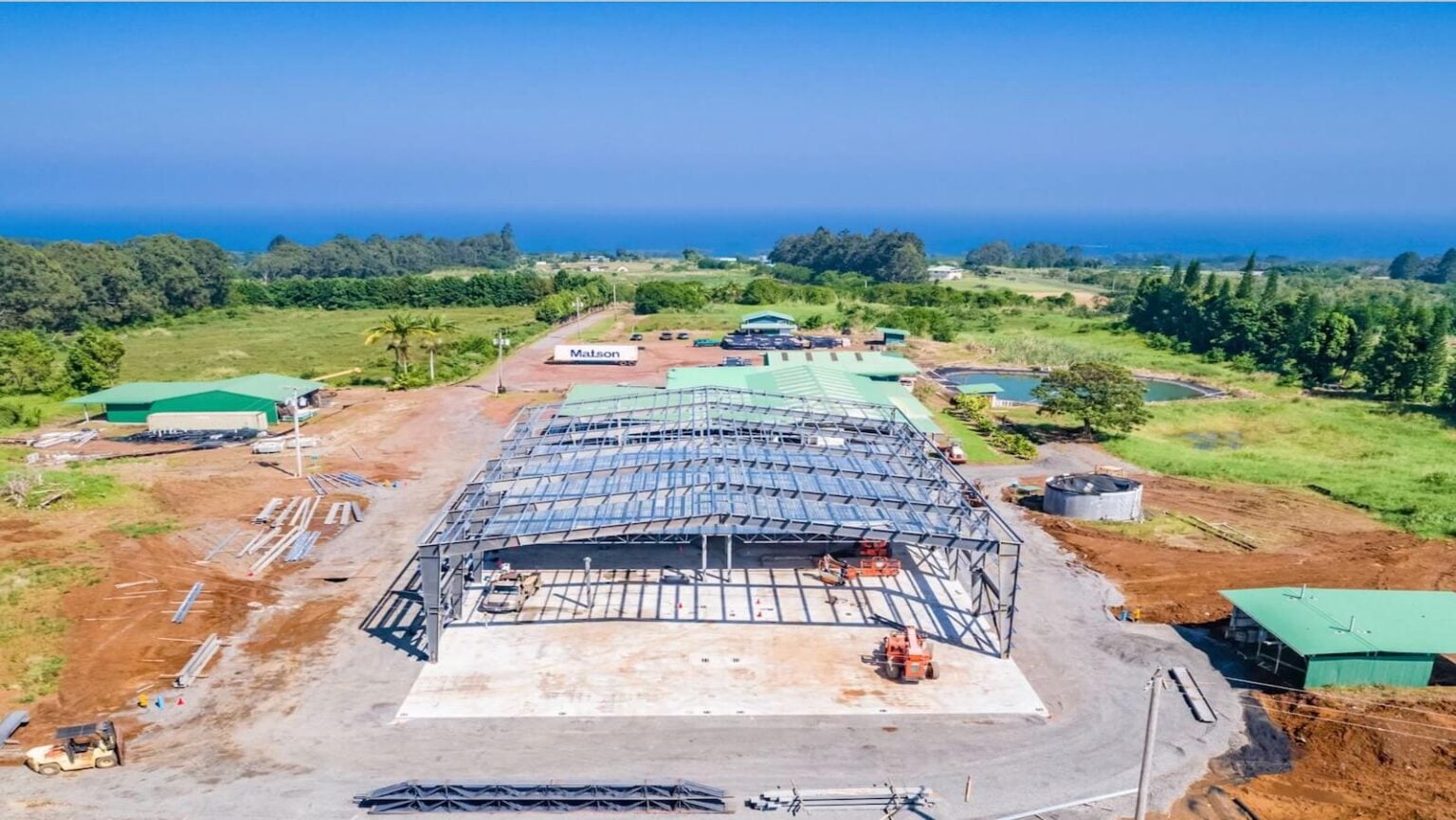 Big Island Grown - Case Study - Photo Gallery